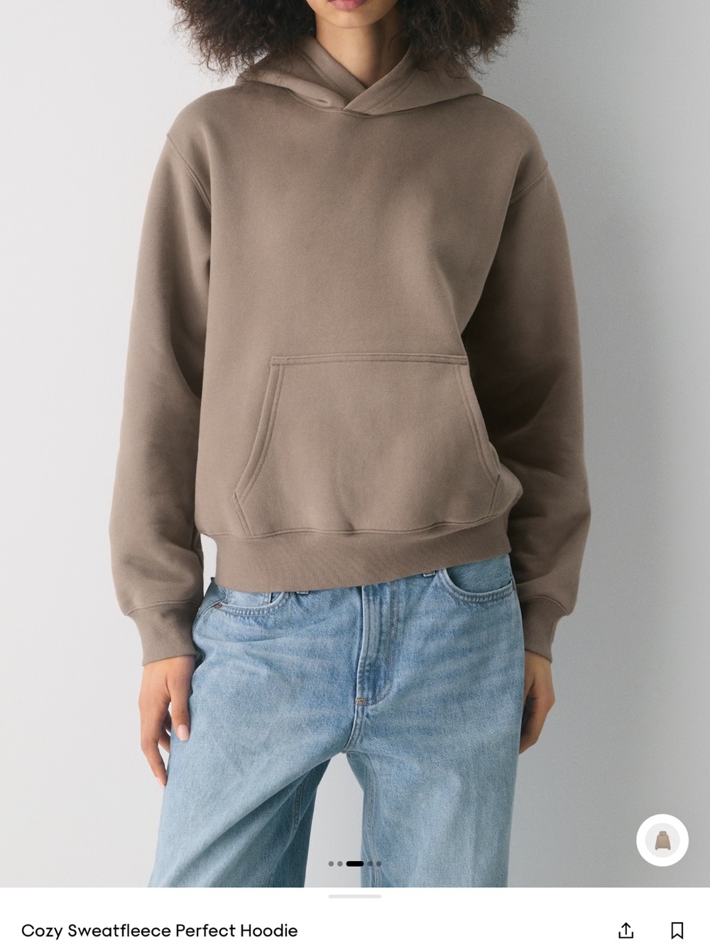 Aritzia Perfect Hoodie in Nomad Taupe